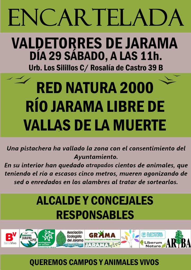 Una pistachera ha vallado la zona con el consentimiento del Ayuntamiento. En su interior han quedado atrapados cientos de animales , que teniendo el rio a escasos metros , mueren agonizando de sed o enredados en los alambres al tratar de  sortearlos.